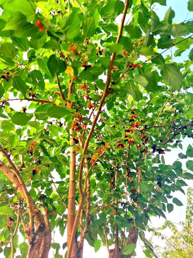 Nhà ở miền quê Ben Ho Xa Gia Tan